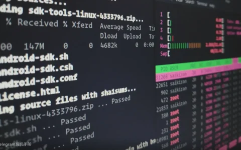 Telegram内存占用高？性能优化的实用建议