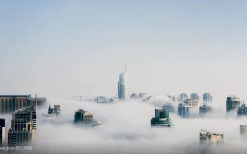 疑难杂症汇总：按症状速查你的Telegram问题